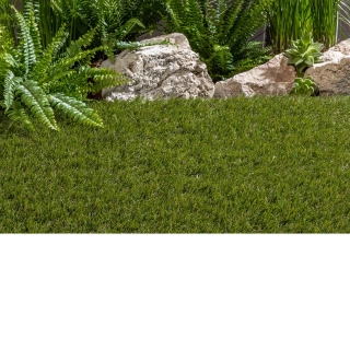 Kunstrasen Wimbledon 2.0 / 44 mm