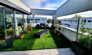 Kunstrasen Zürich / 65 mm